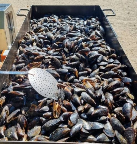 Brasucade-lbdp-camping-le-bois-de-pins-cuisine-moules-grillee