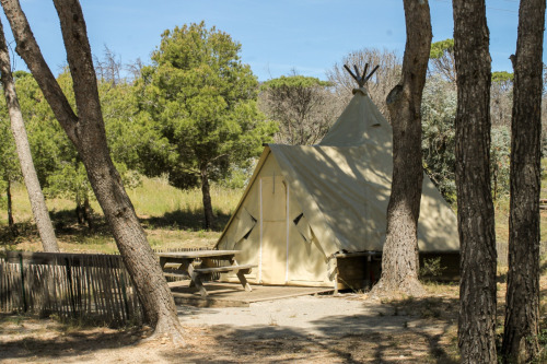 Tipis-lbdb-le-bois-de-pinjs-camping-famillial-66-occiatanie