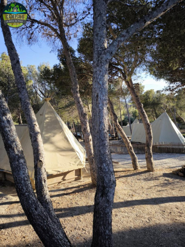 Tipis-lbdp-le-bois-de-pins